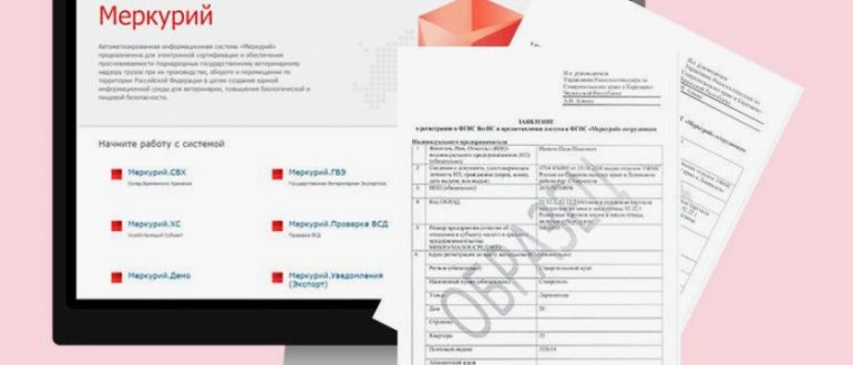 Как зарегистрироваться во ФГИС Меркурий: пошаговая инструкция для бизнеса
