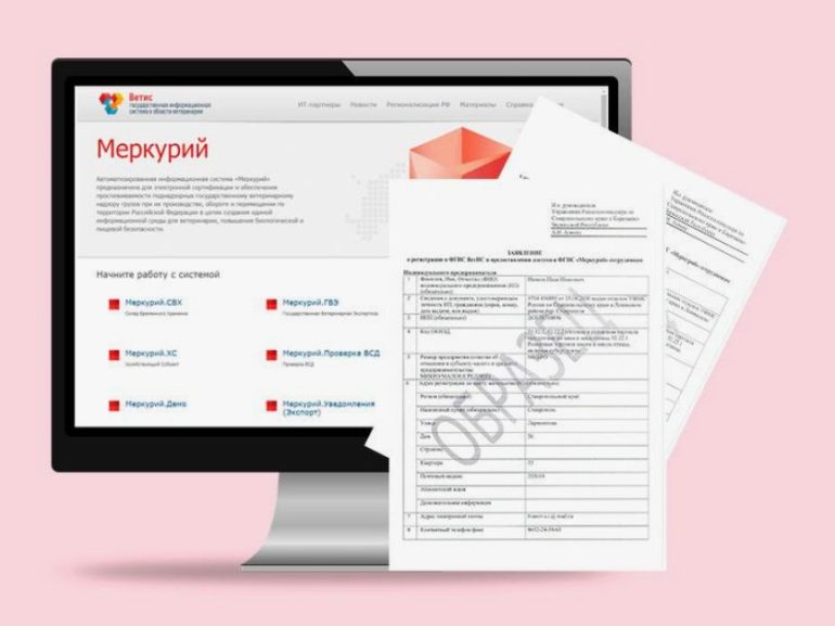 Как зарегистрироваться во ФГИС Меркурий: пошаговая инструкция для бизнеса