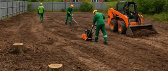 Акция на участок не чистит дорогу